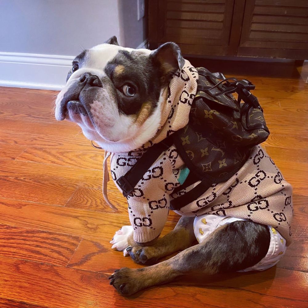 Bags/Backpacks & Scarfs