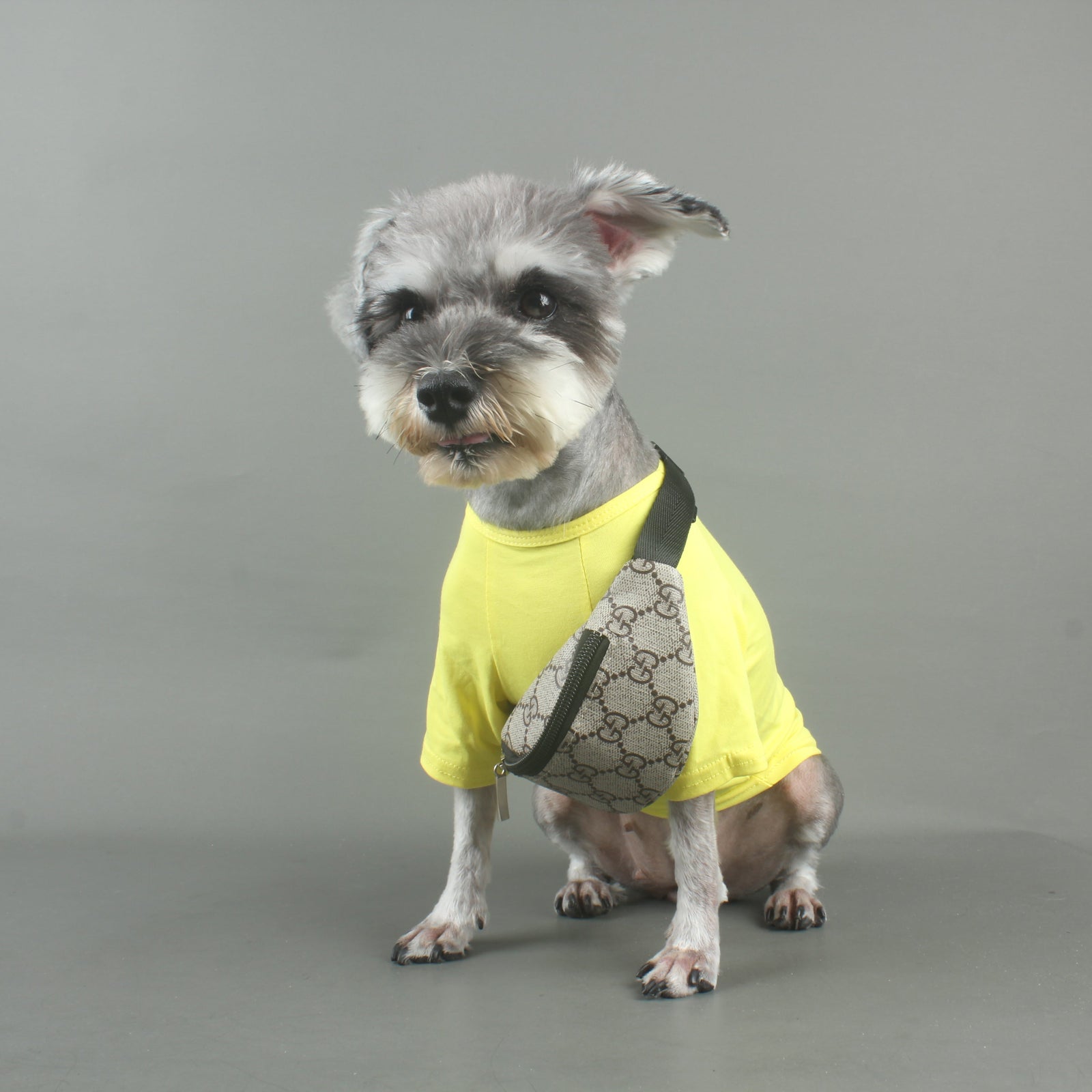 Bags/Backpacks & Scarfs