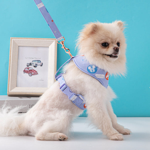 Mickey Lux Drip Harness & Leash Lit Set