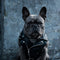 PAWSMOMENT Rebel Rider Moto Vest