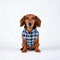 PAWSMOMENT Reversible Plaid Puffer Vest - Blue