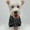 Pet Dog Washed Clothes