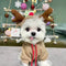 Cuty Reindeer Amped Sweater