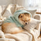 PAWSMOMENT Fleece Hoodie