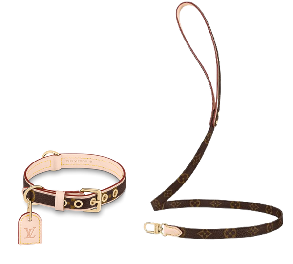 Amelia Dog Collar & Backspin Leash