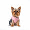 PAWSMOMENT Reversible Plaid Puffer Vest - Pink