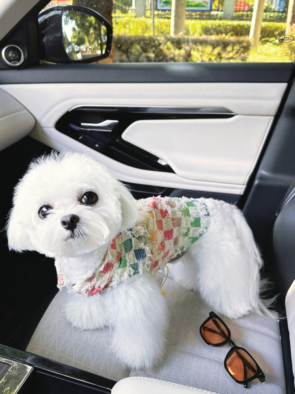 Pet Dog Wavy Clothes