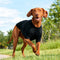 PAWSMOMENT Microplush Sport Tee