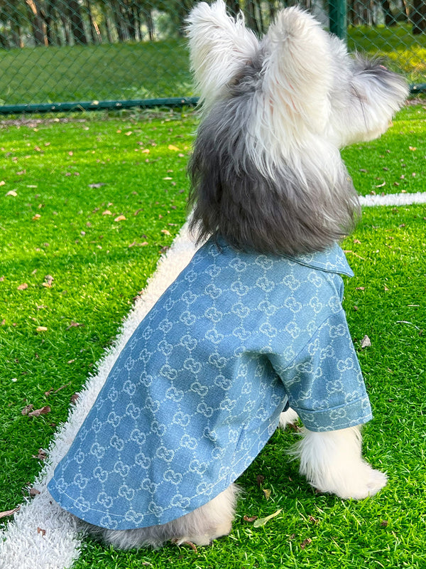 Pet Dog Snatched Clothes