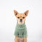 PAWSMOMENT Fleece Sweater