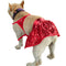 ✨ Paradise Dog Dusty Bikini