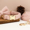 Teddy Bow Collar And Leash Vintage Set