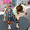 🧥 Fly Pup Jacket