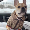 🧥 GG Fashionable Doggo Hooded Throwie Jacket