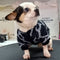🧥 Luxe Pup Jacket