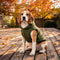 PAWSMOMENT Fleece Pocket Vest