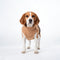 PAWSMOMENT Fleece Pocket Vest