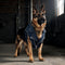 PAWSMOMENT Rider Denim Moto Vest