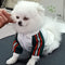 🧥 Dope Pup Jacket