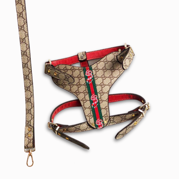 GG Hero Classic Harness& Leash Layered Set