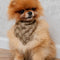 Scarf Giogio Unseen Brown