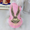 Bugs Bunny Personalized Dog Sleek Clothes