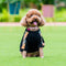 Big Dog Bubbly Sweater