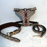 Designer Hero Classic Harness & Leash Layered Set