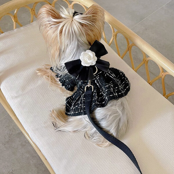 Dog Dress With Leash OG Ring