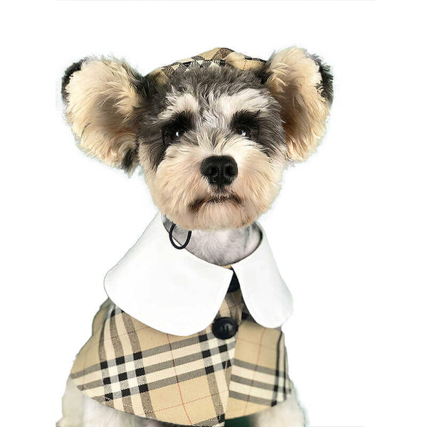 Dog Shawl Coat And Posh Hat