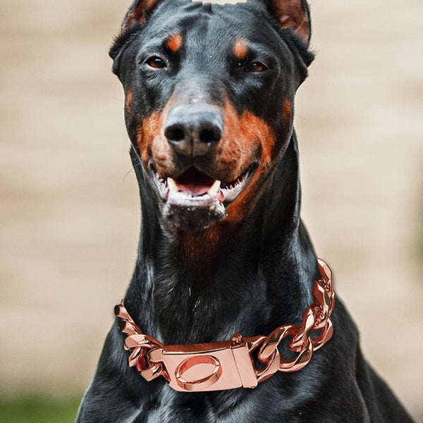 Pup Chains Abstract Life