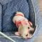 🛏️ Luvina Deluxe Raw Bed