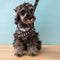 Classic Harness & Leash Icy Set