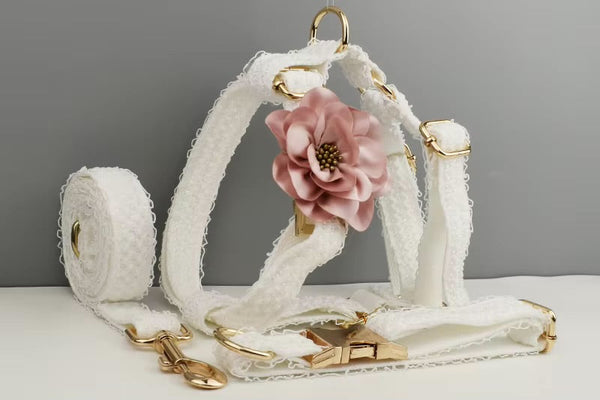 Cuty Harness piece Adorable Set