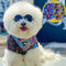 🏋️ Doggo Colorful Abstract Sweatshirt