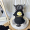 Custom Dog Washed Clothes