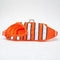 Clownfish Dog Swim Life Vest