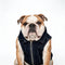 PAWSMOMENT Rider Denim Moto Vest