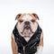 PAWSMOMENT Rebel Rider Moto Vest