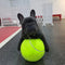 Giant Fetch Tennis Ball