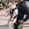 Adventure Hiking Dog Backpack