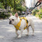 Reflective Safety Dog Harness