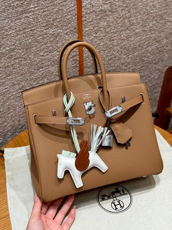Birkin 25 Chai Luxury Bag