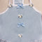 Princess Ruffle Dog Skirt