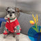 G Hoodie Dog
