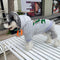 Graphic Royal Doggo Hoodie