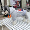 Graphic Viral Doggo Hoodie