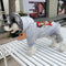 Graphic Next Dog Hoodie