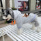 Graphic Edge Dog Hoodie