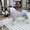 Graphic Sauce Doggo Hoodie
